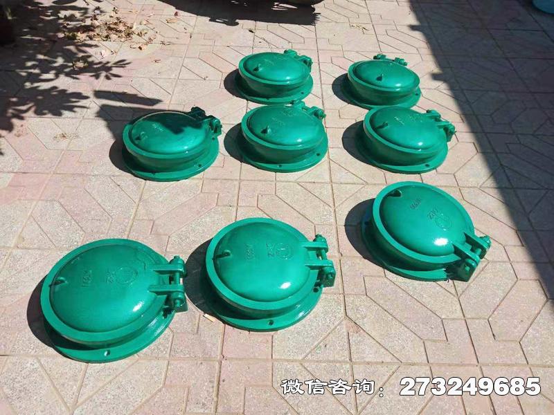 永丰县玻璃钢止水拍门