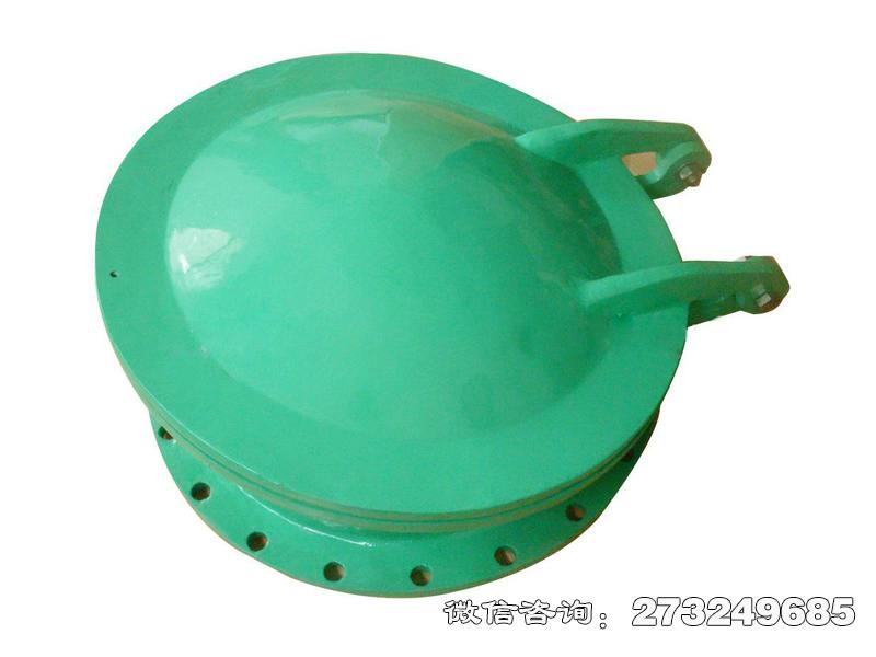 江北耐腐蚀管道玻璃钢拍门