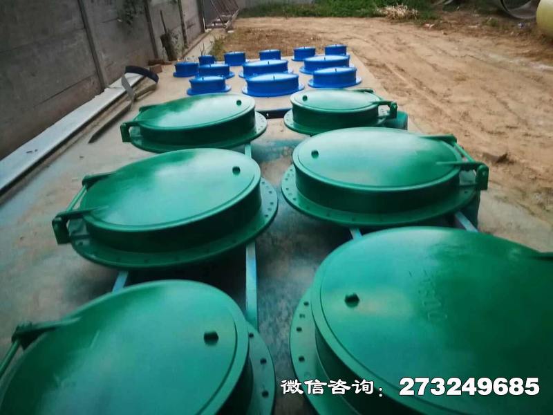 威海市政管道口玻璃钢拍门