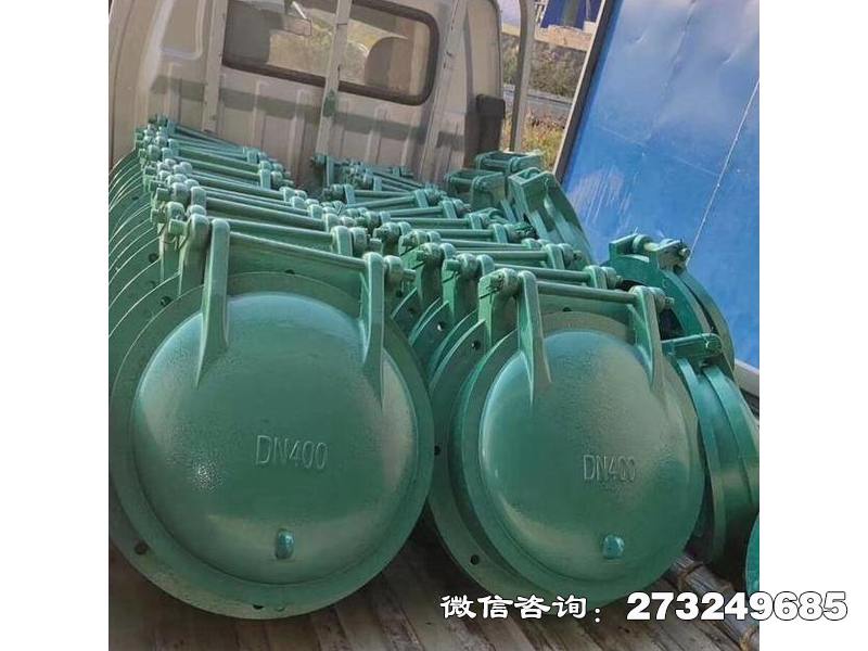 威海污水管玻璃钢拍门