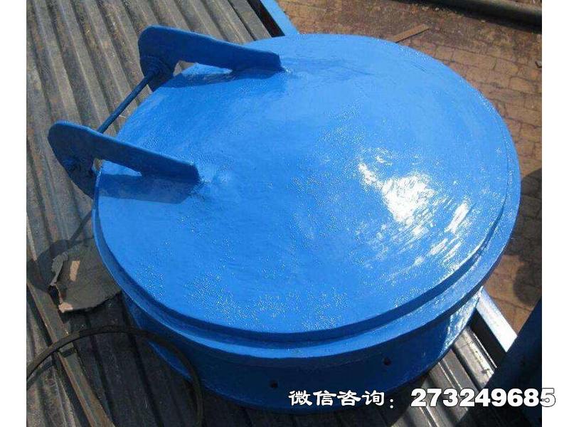 威海污水管用玻璃钢拍门