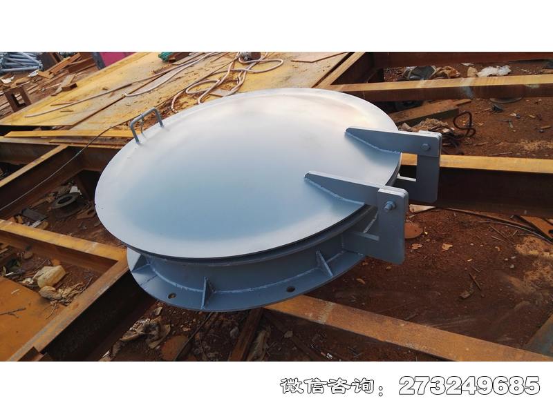 泌阳县水渠管道钢制拍门