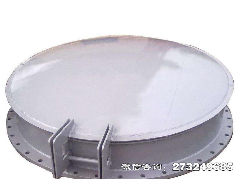 泌阳县铸铁钢制拍门