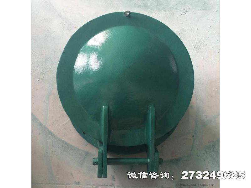 双辽玻璃钢圆形拍门