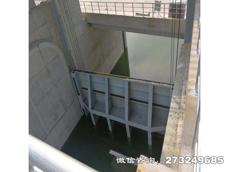 贵州铸铁钢坝闸门