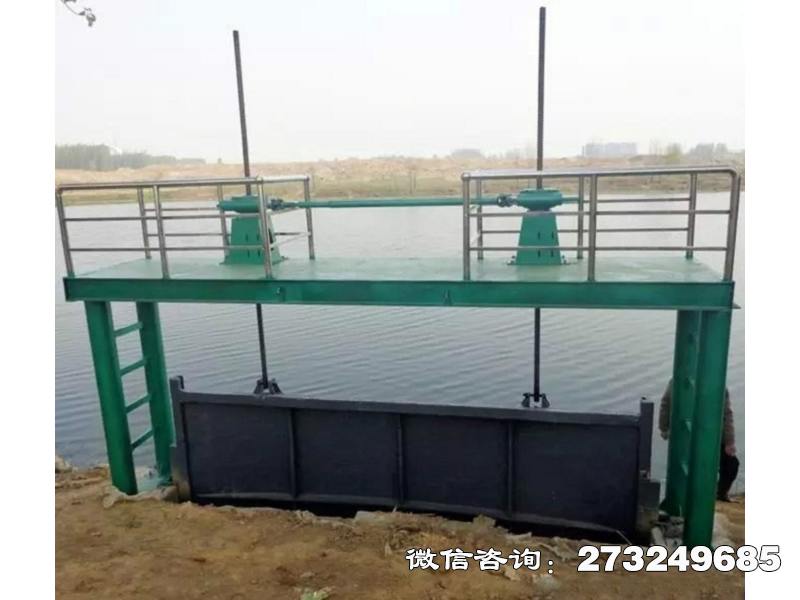 惠东县水坝拦水闸门